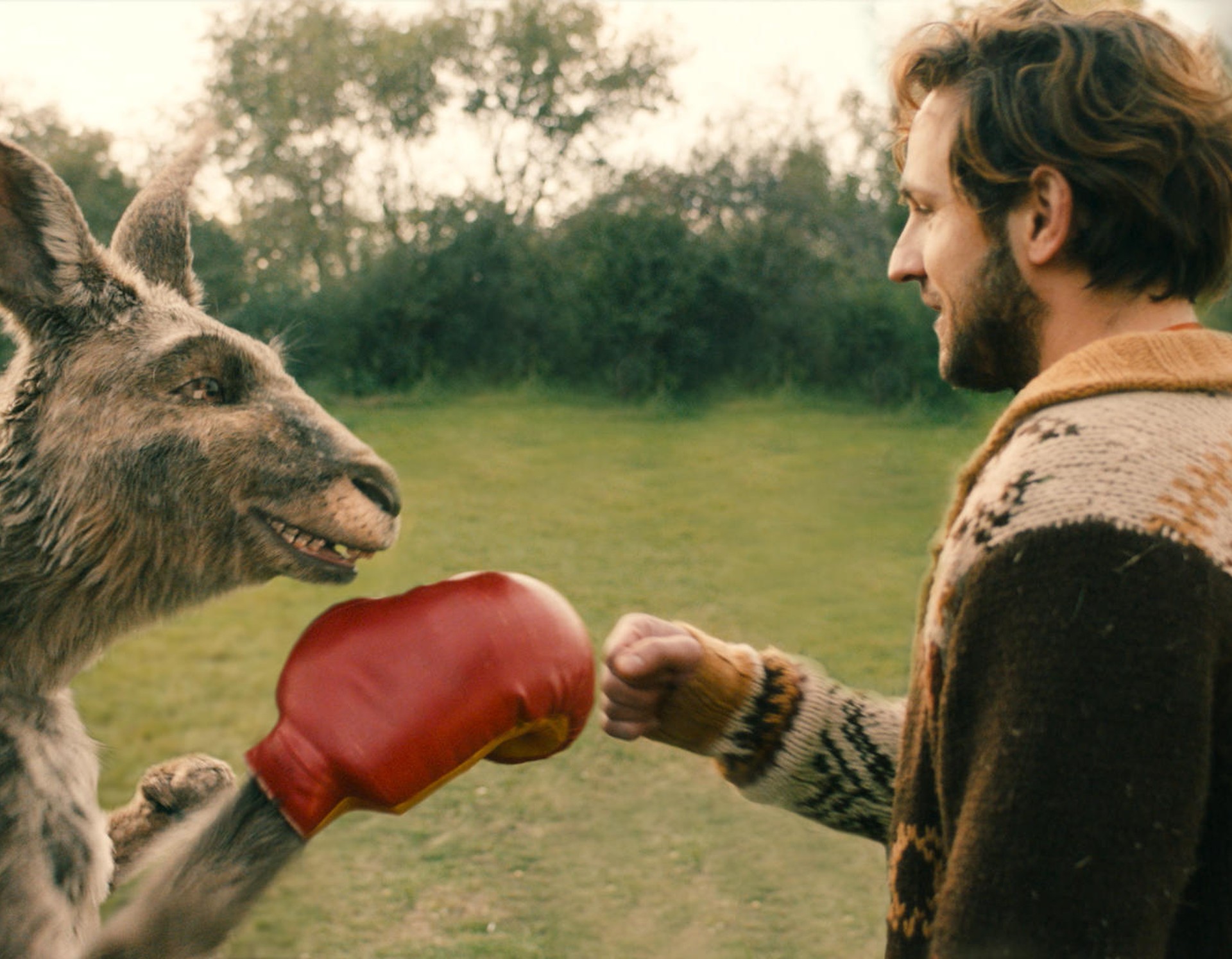Ein Känguru, das einen roten Boxhandschuh trägt, gibt einem Mann die Faust.