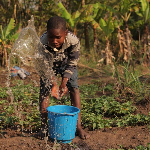 Ein Kind lässt Wasser in einen Eimer laufen.