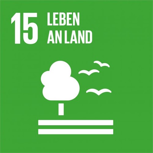 Ziel 15: Leben an Land