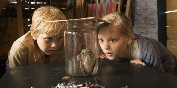 Ein Mädchen und ein Junge sehen sich einen Glasbehälter an, in dem sich ein Frosch befindet.