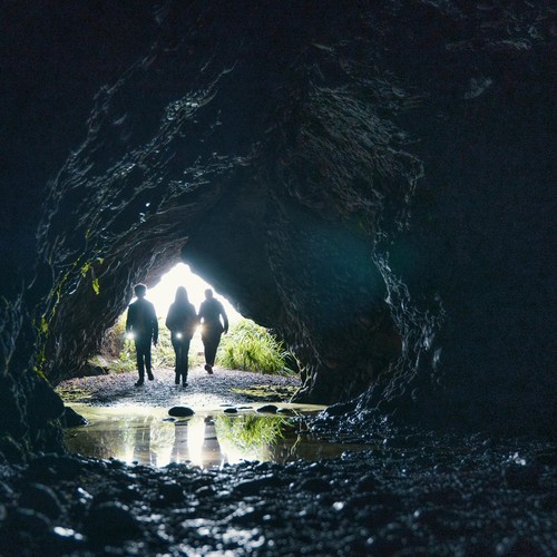 Die Pfefferkörner stehen im Eingang einer dunklen Höhle am Meer.