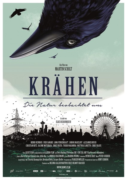 Krähen Filmplakat