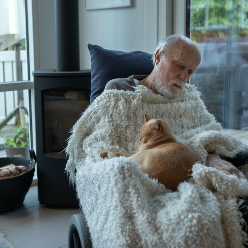 Ein alter Mann sitzt zugedeckt in einem Rollstuhl und schläft mit einer Katze auf dem Schoß.